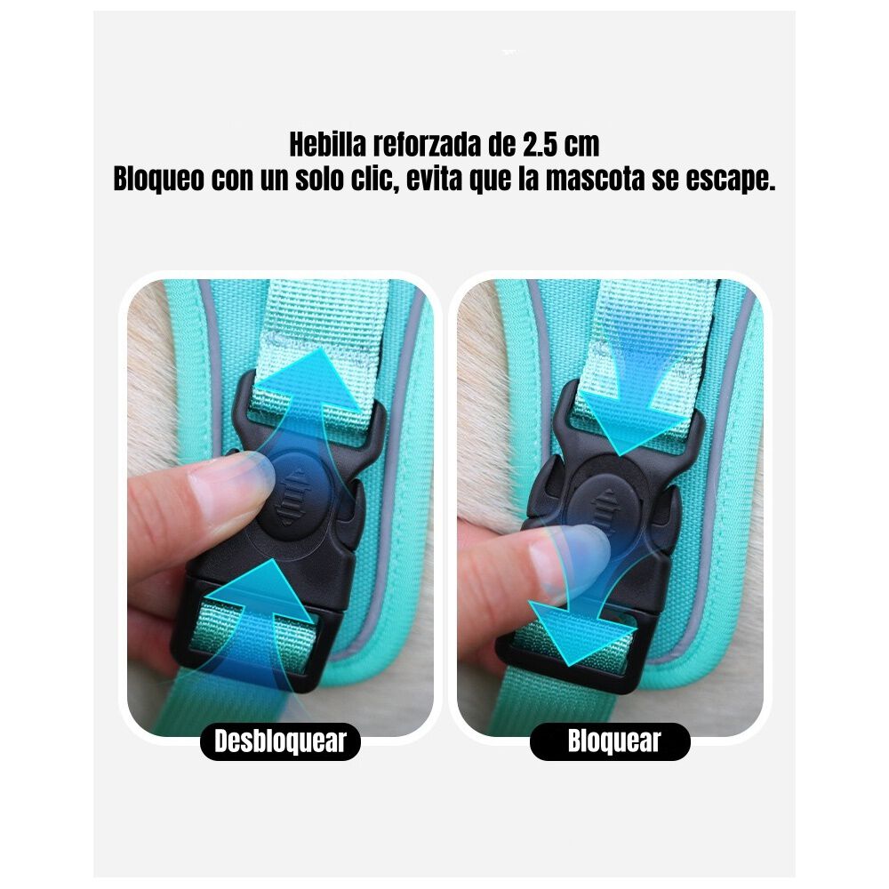 Arn&eacute;s Para Perro Ajustable Con Correa 1,5m Reflectante Kayla image number 3.0