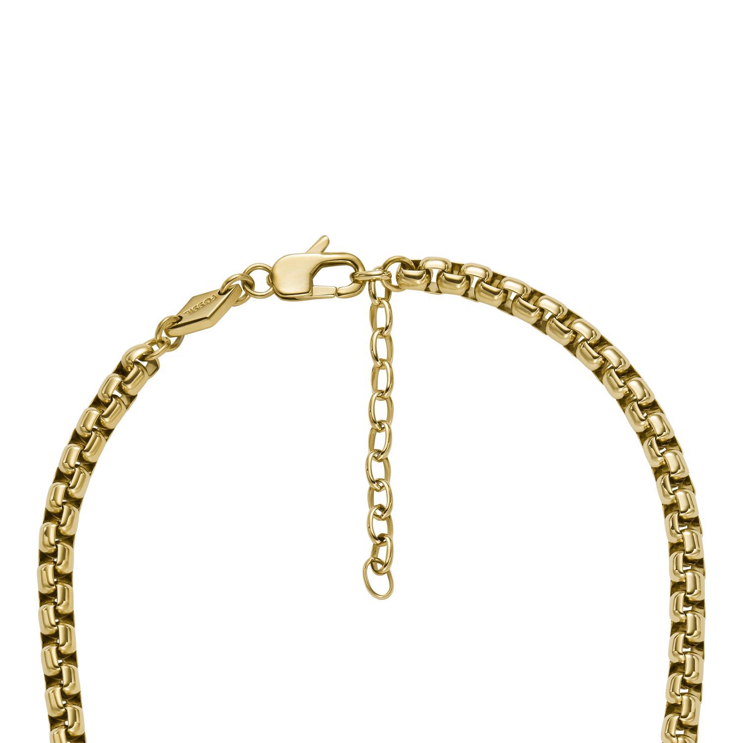 Collar Fossil Jf04575710 Dorado image number 2.0