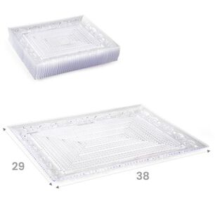 Bandeja Rectangular Crystal 29x38 Cm Transparente Plastica