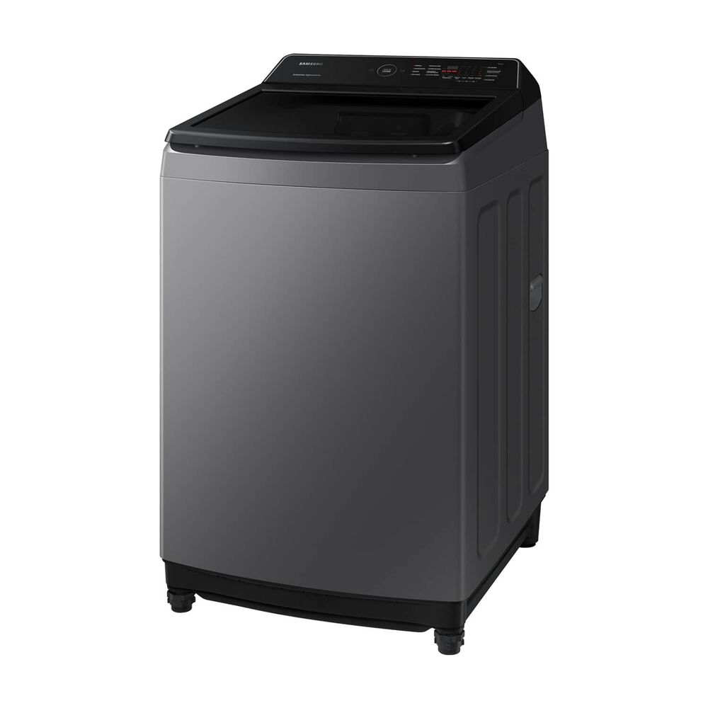 Samsung Lavadora De Carga Superior 17kg Con Eco Bubble&trade; Color Gris image number 1.0