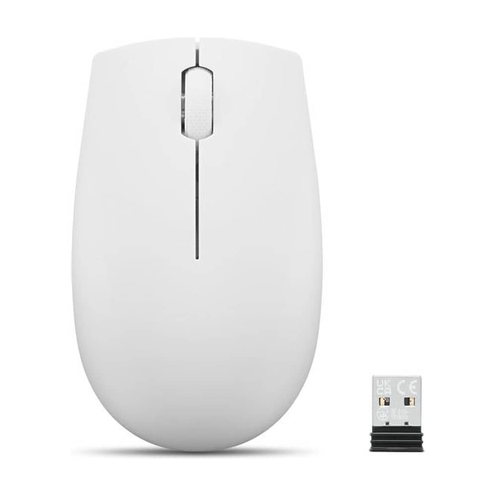 Mouse Lenovo 300 Wireless Compact - Cloud Grey image number 0.0