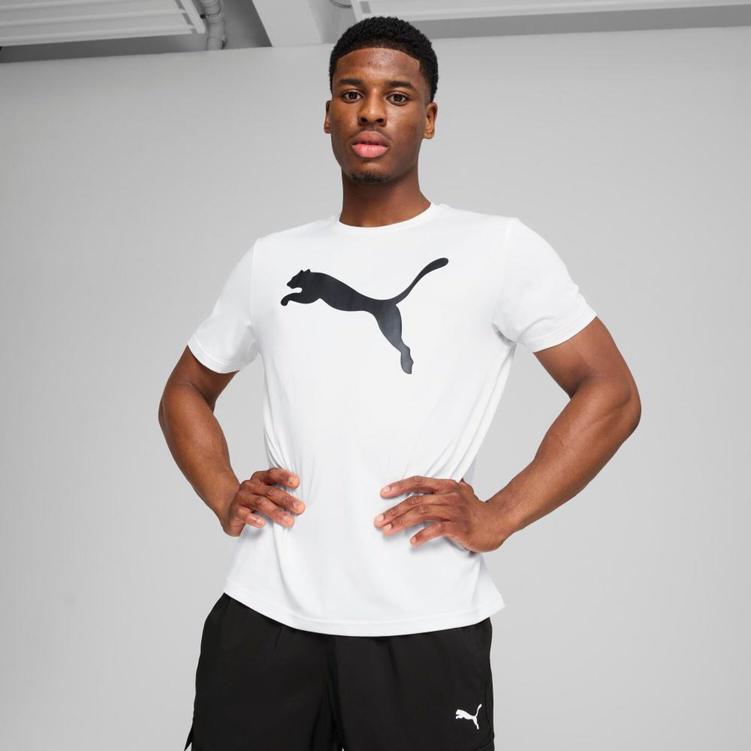 Polera Deportiva Hombre Puma image number 2.0