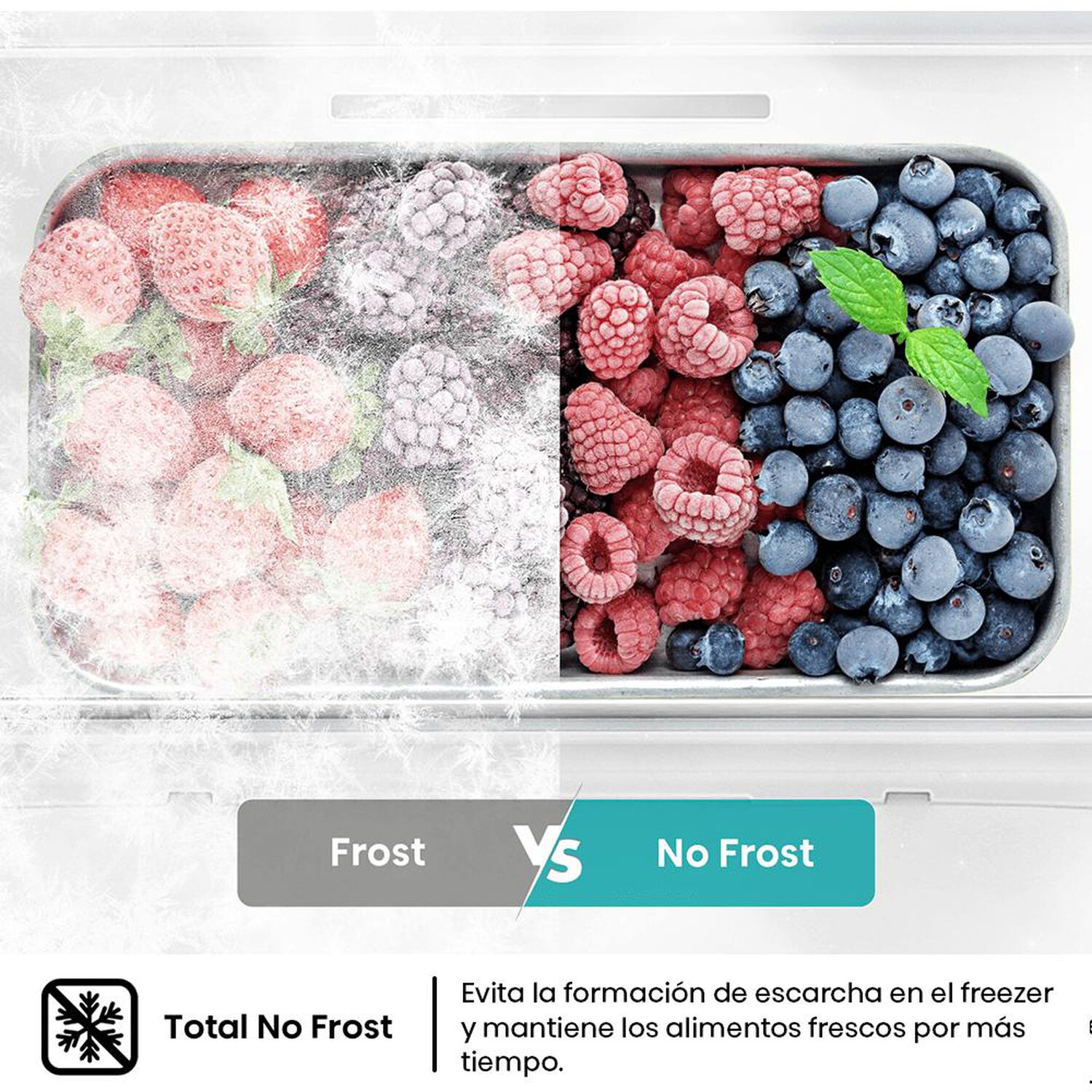 Refrigerador Side By Side Hisense RQ5P470NECF / No Frost / 456 Litros / A+ image number 10.0
