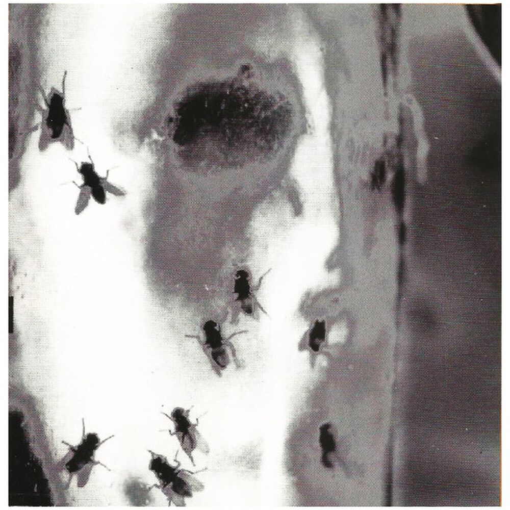Alice In Chains - Jar Of Flies | Cd image number 9.0