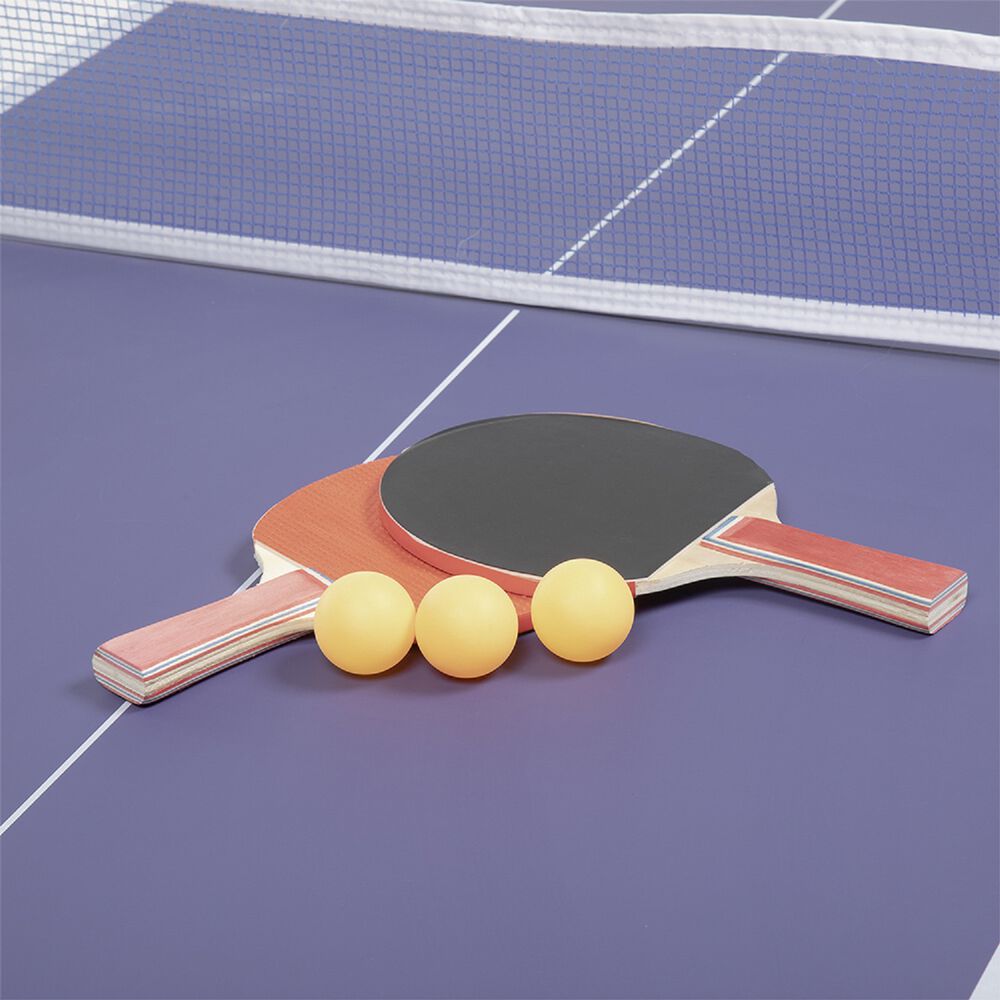 Mesa De Ping Pong A1 Mini image number 2.0