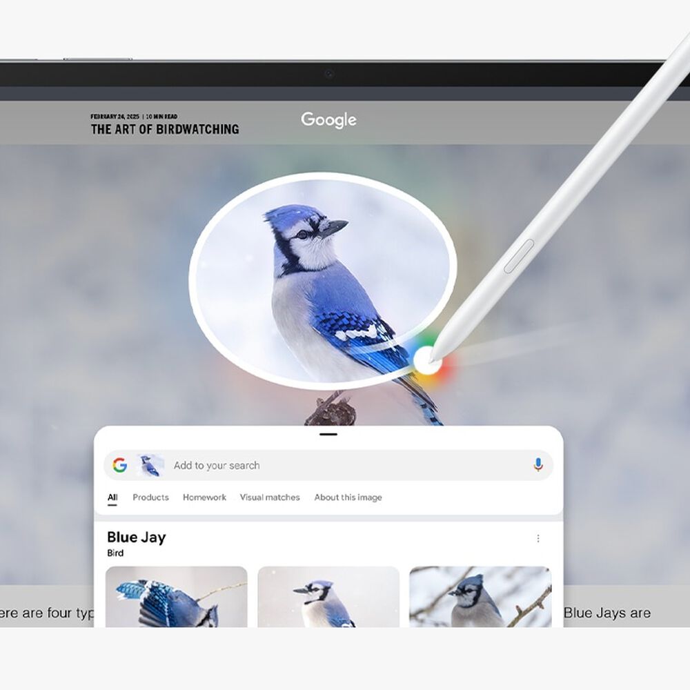 Galaxy Tab S10 Fe (10.9", 128gb, Wifi) Azul image number 7.0