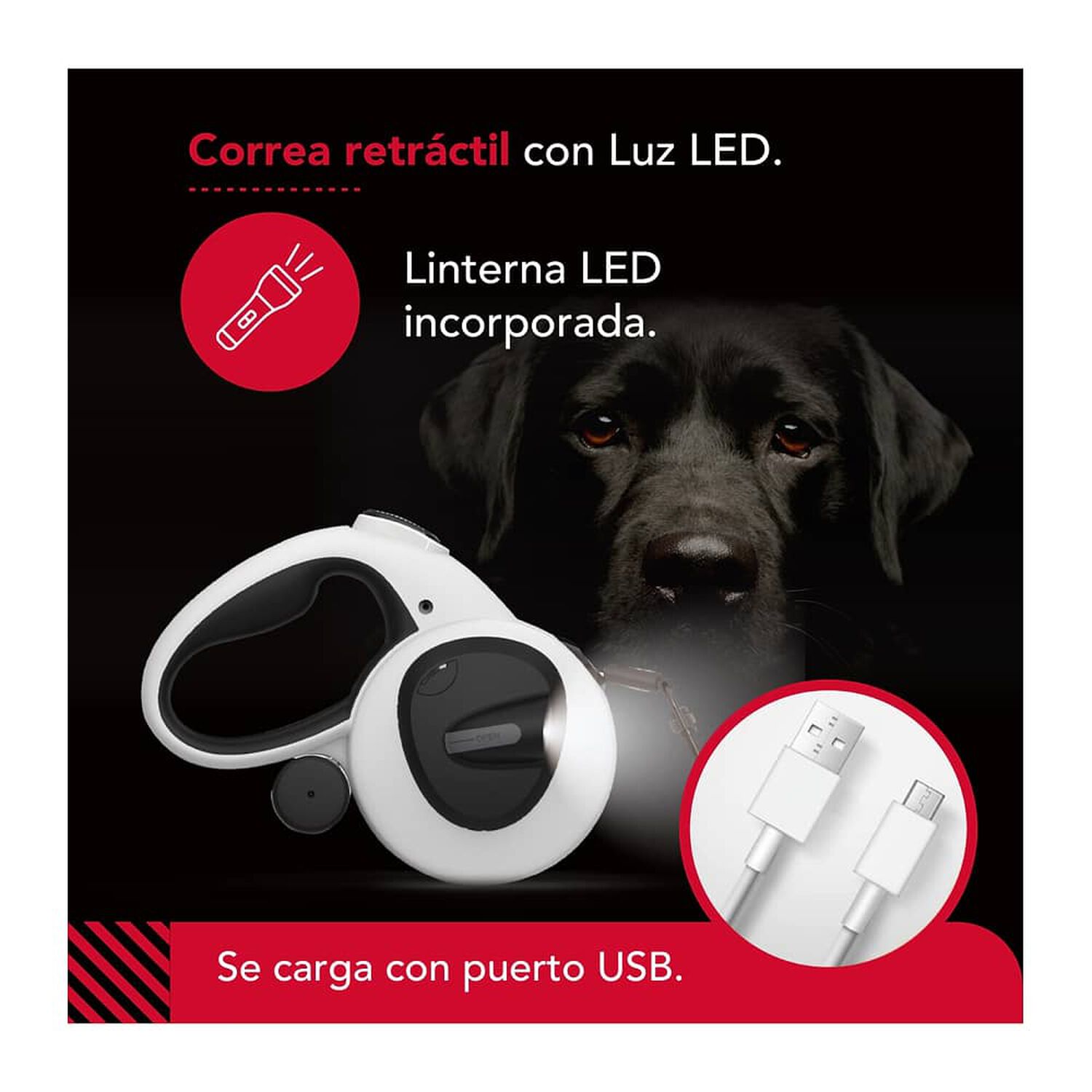 Correa Luminosa Thor Usb Light Leash Plus M image number 6.0