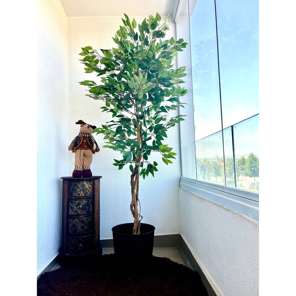 Planta Artificial Ficus Premium 180 Cm / 1288 Hojas / Arbusto Real image number 4.0
