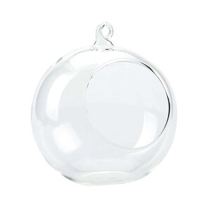 Terrario Redondo Colgante De Vidrio