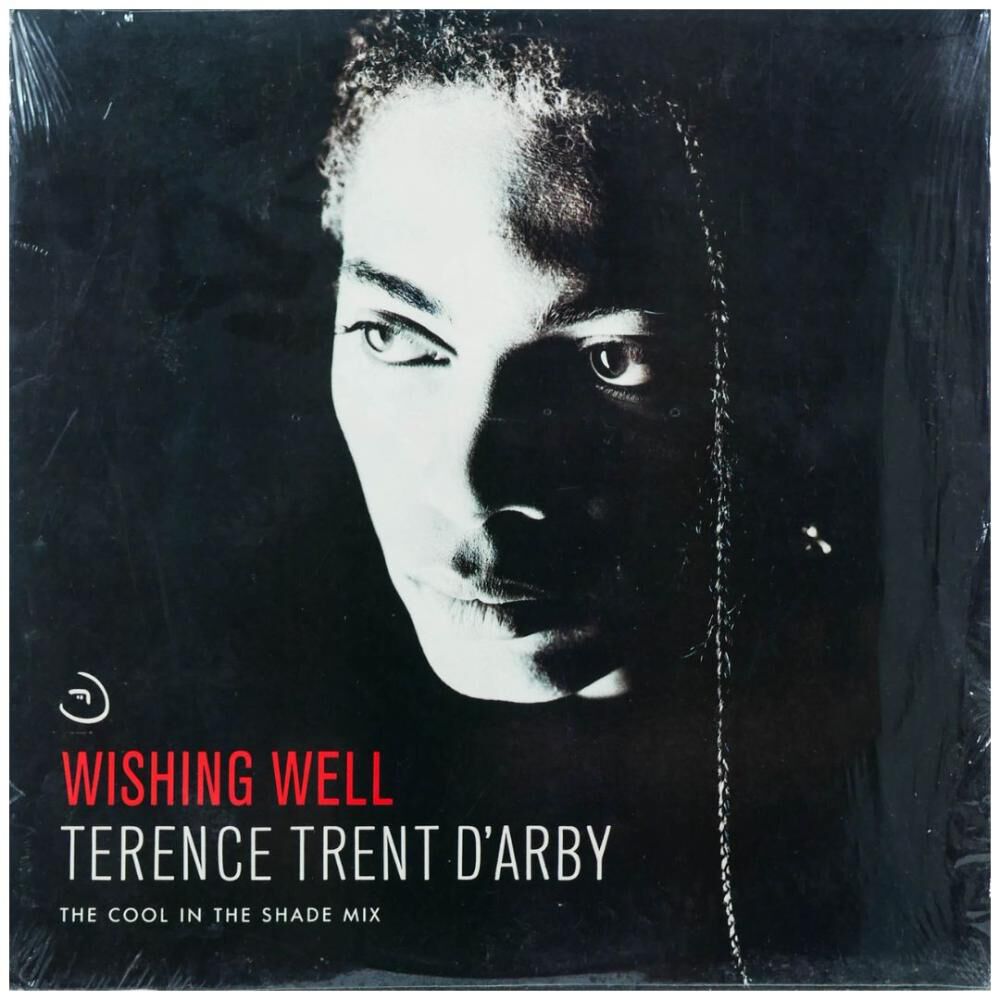 Terence Trent D'arby - Wishing Well | 12" Maxi Single Usado image number 0.0