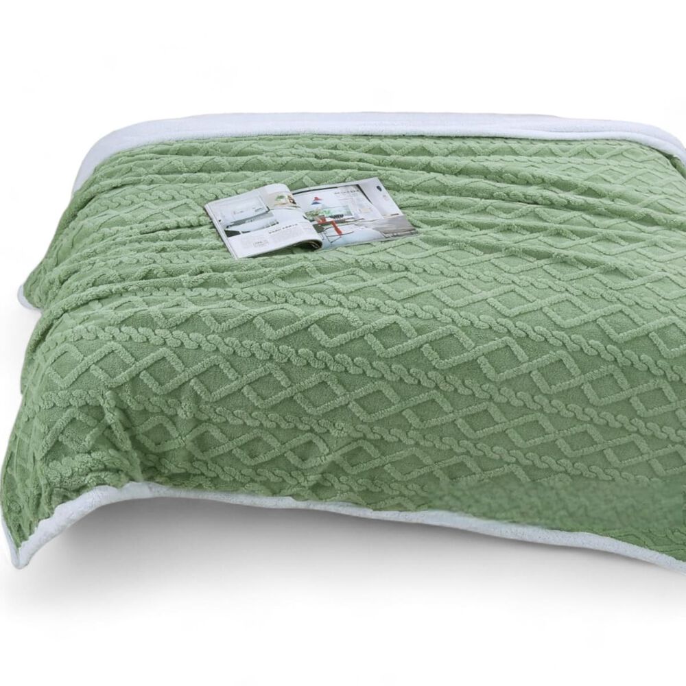 Frazada Polar Con Chiporro Medida 200x230cm 2 Plazas Color Verde image number 0.0