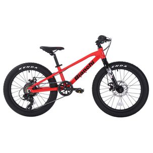 Bicicleta Infantil Bianchi Bianchi Alloy 20 / Aro 20