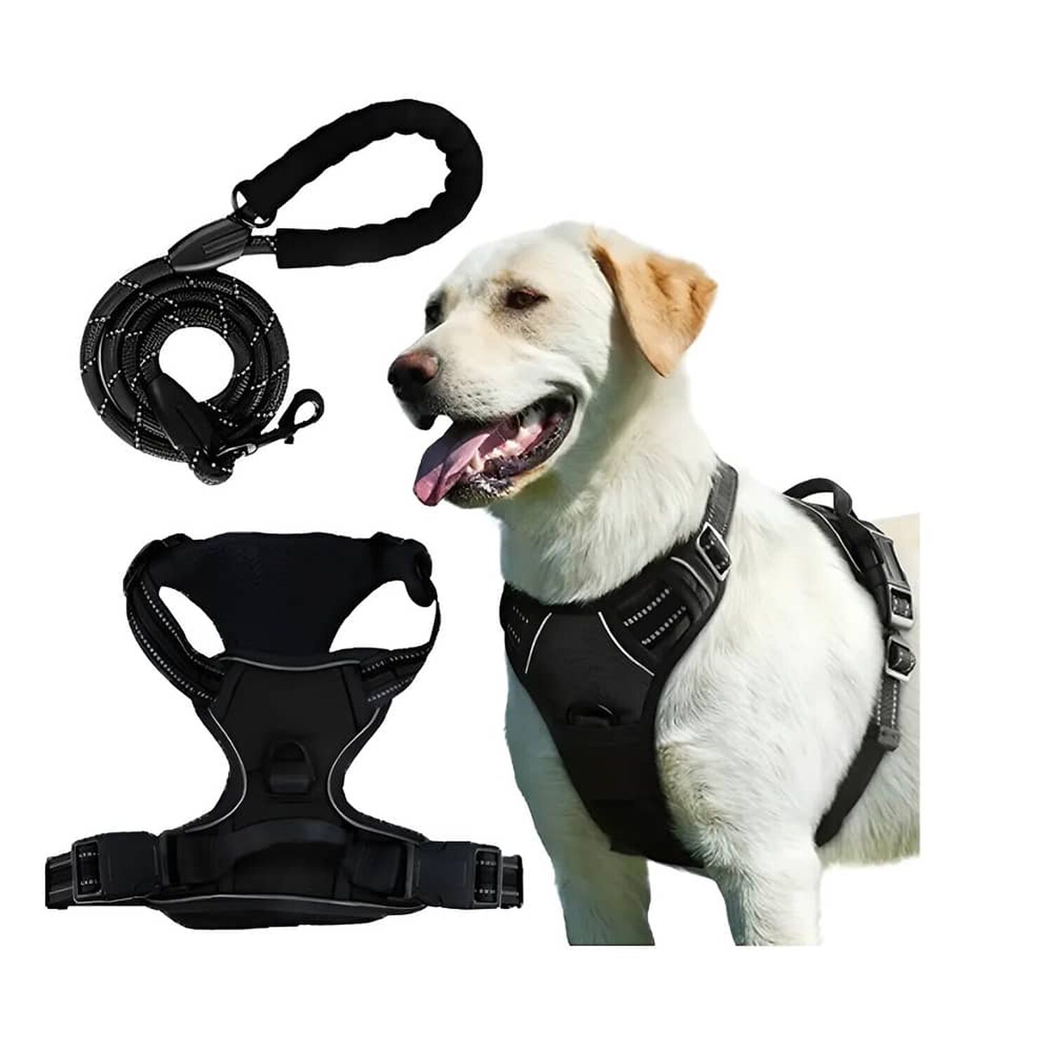 Arn&eacute;s Perro Ajustable Reflectantes Con Correas M image number 0.0