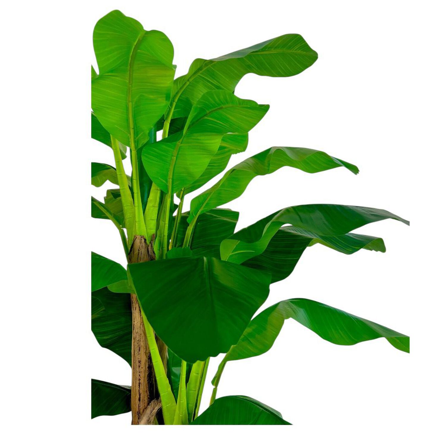Planta Artificial Banano Premium 230 Cm. / 26 Hojas / Arbusto Real image number 3.0