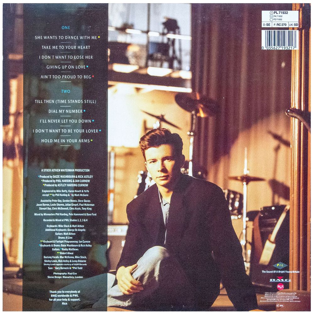 Rick Astley - Hold Me In Your Arms | Vinilo Usado image number 1.0