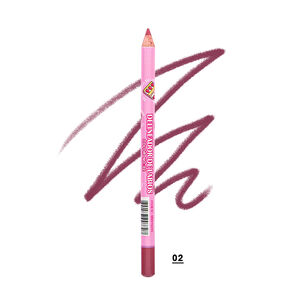 Delineador De Labios 02