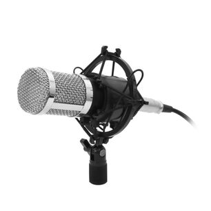 Microfono Condensador Profesional Philco Hifi 31451 C/soporte