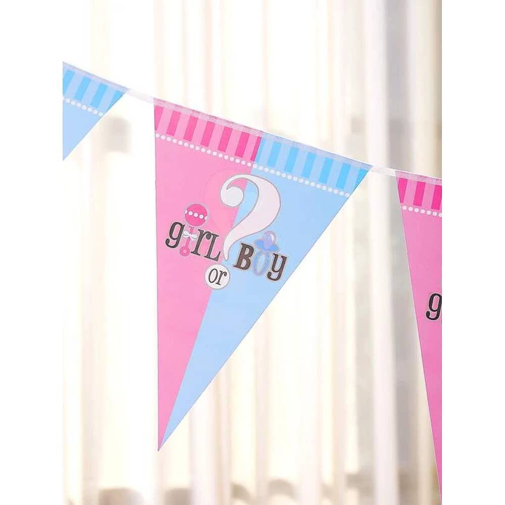 Guirnalda Banderines De Revelaci&oacute;n Baby Shower Cotillon image number 2.0