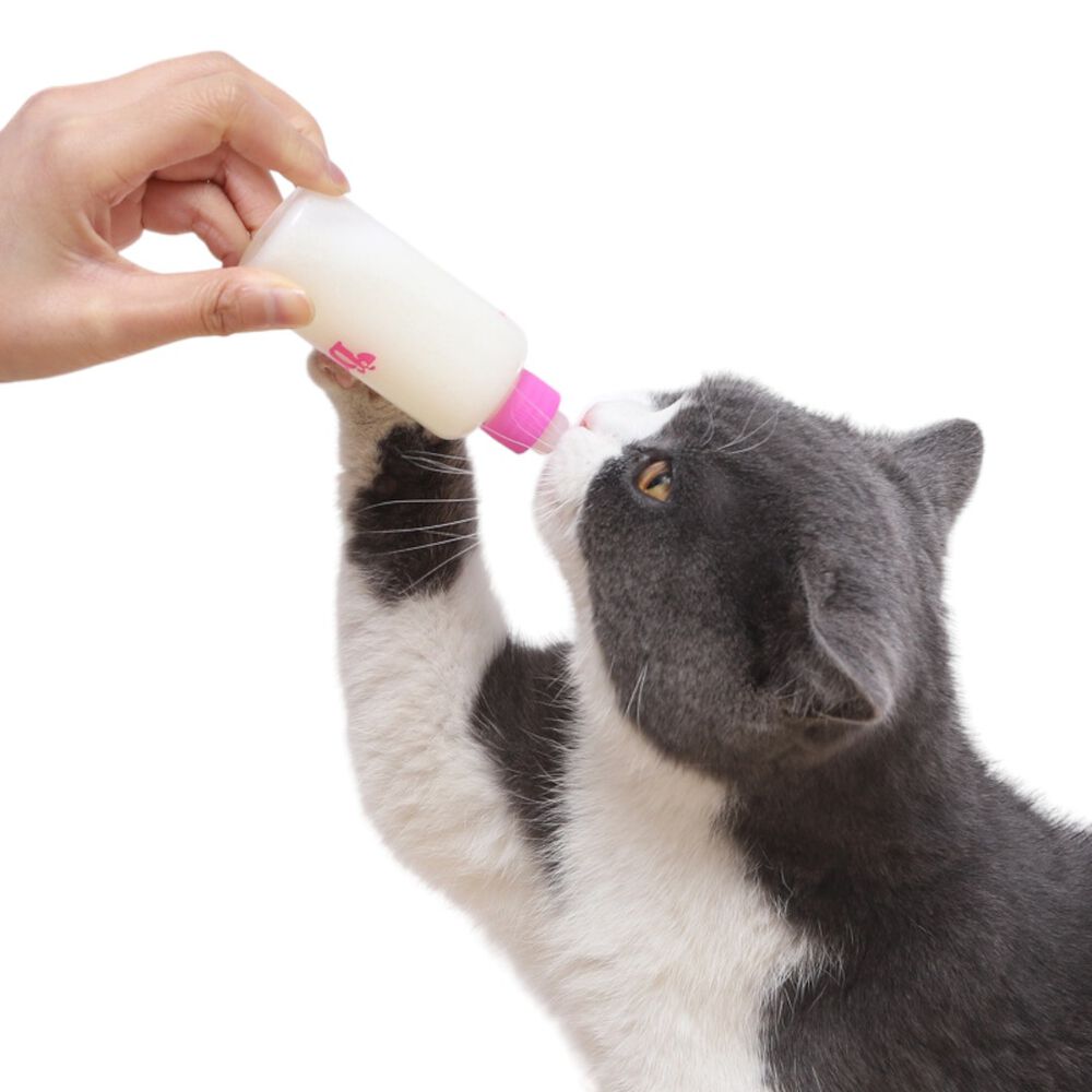 Mamadera Mascotas Leche Perro Y Gato 60ml image number 4.0