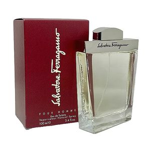 Salvatore Ferragamo Pour Homme Edt 100ml