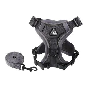 Arn&eacute;s Para Perro Con Correa Reflectantes Momo Xl Gris