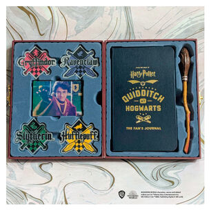 Harry Potter Quidditch At Hogwarts: The Player's Kit