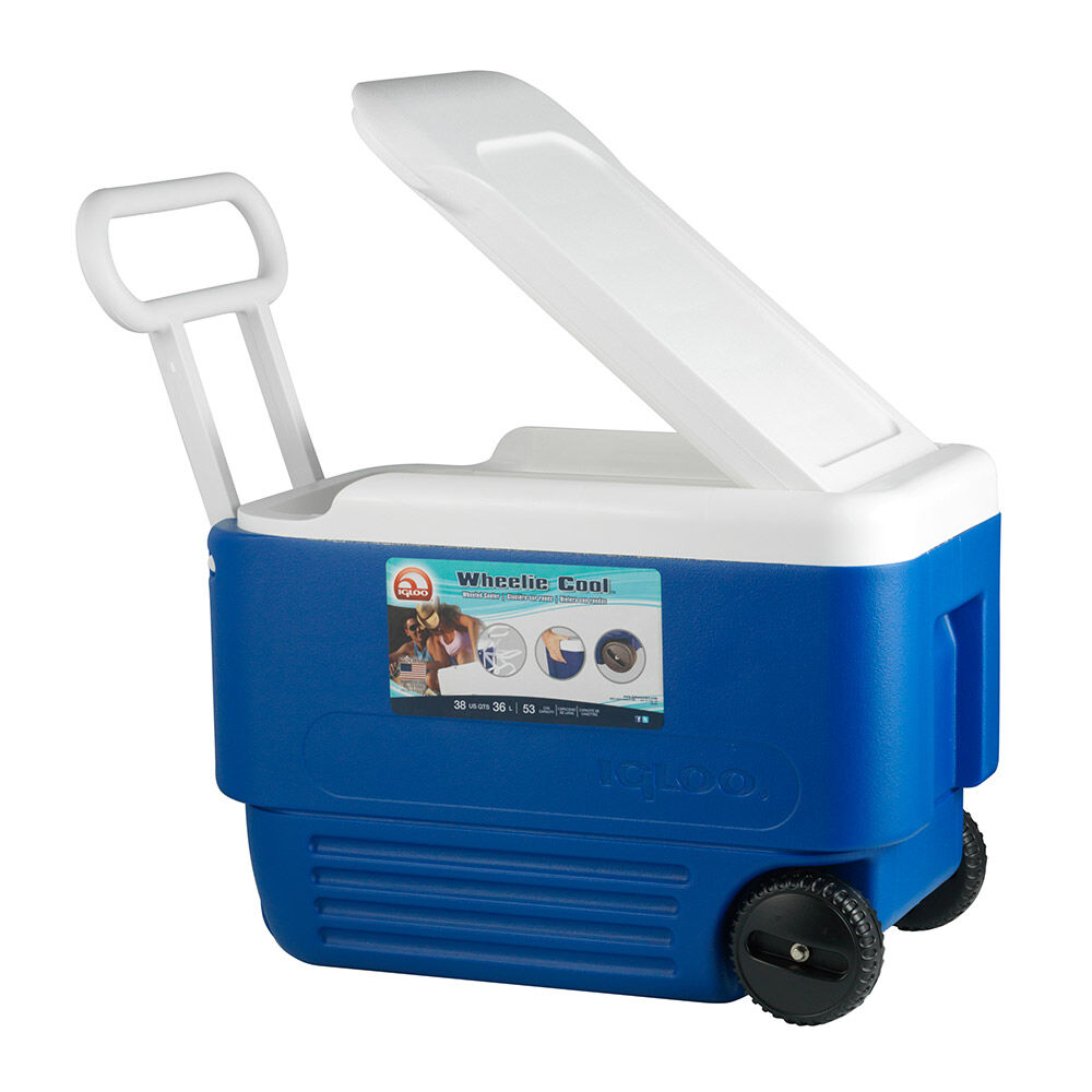 Cooler Igloo Ig45004 / 36 Litros image number 1.0