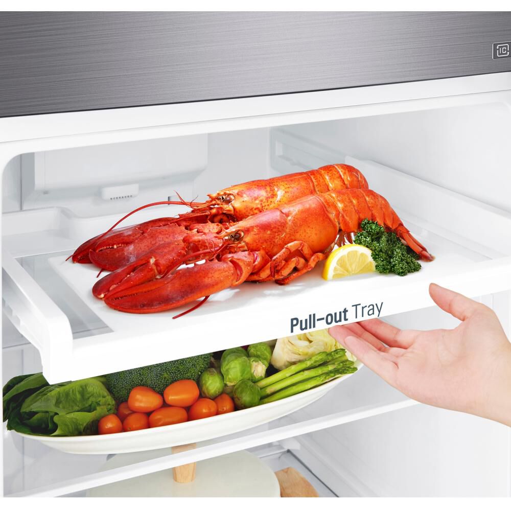 Refrigerador Top Freezer LG GT29BPPK / No Frost / 254 Litros / A+ image number 9.0