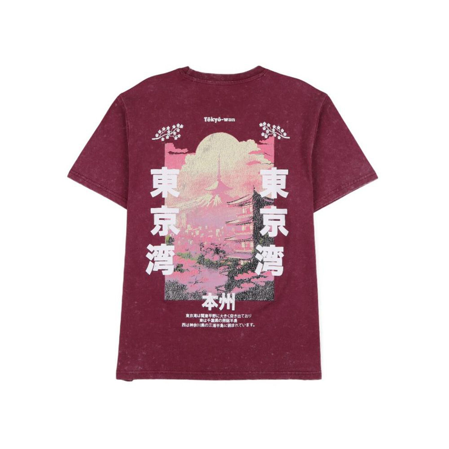 Polera Hombre Rolly Go image number 1.0