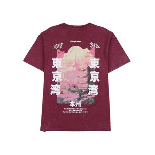 Polera Hombre Rolly Go