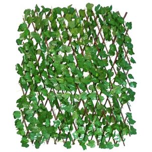 Malla Cerca Planta Enredadera