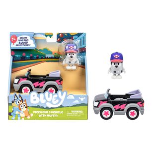 Set Figura Bluey Y Su Auto