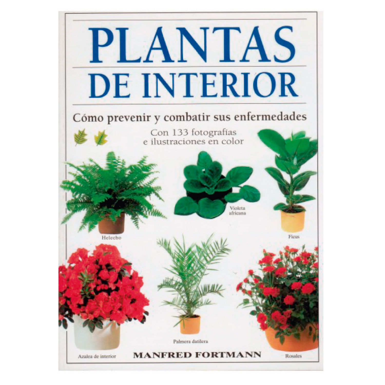 Plantas De Interior image number 0.0