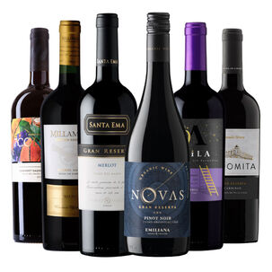 6 Vinos Mix Plus Gran Reserva Tintos