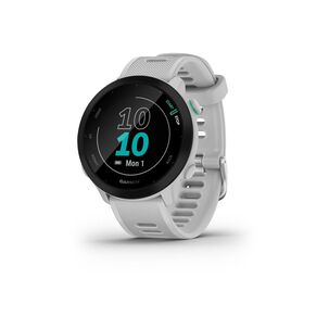 Smartwatch Garmin Forerunner 55 / 1.04"