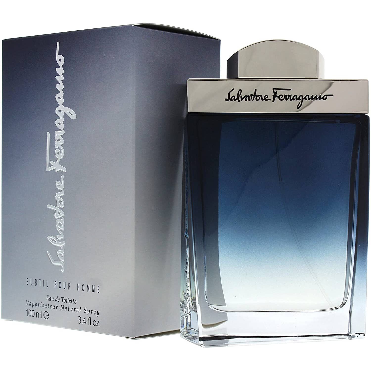 Subtil Salvatore Ferragamo Edt 100ml Hombre image number 0.0