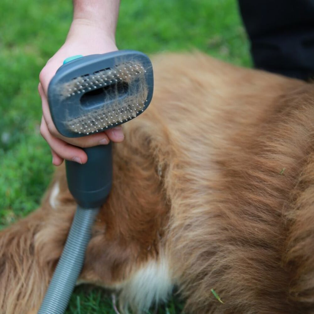 Cepillo Para Mascotas Pet Brush Aspiradora Inalámbrica X5-full Primaterm image number 4.0