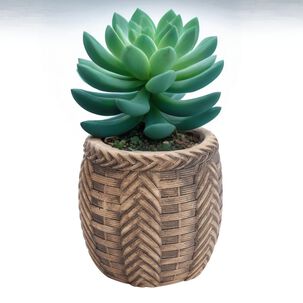Maceta Trenzada De Cemento Caf&eacute; 13 Cm