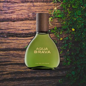 Antonio Puig Agua Brava Edc 100 Ml Tester
