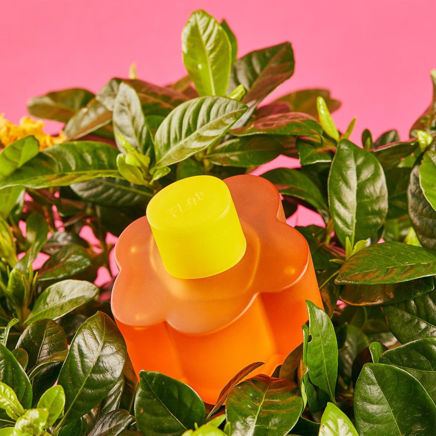 Set De Perfumer&iacute;a Mujer Flor Agatha Ruiz De La Prada / 100 Ml / Edt + Megaspritzer 10ml image number 3.0