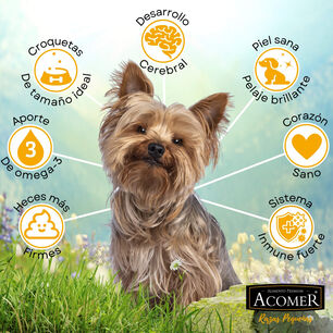 Alimento Para Perro Adulto Raza Peque&ntilde;a Acomer 10kg