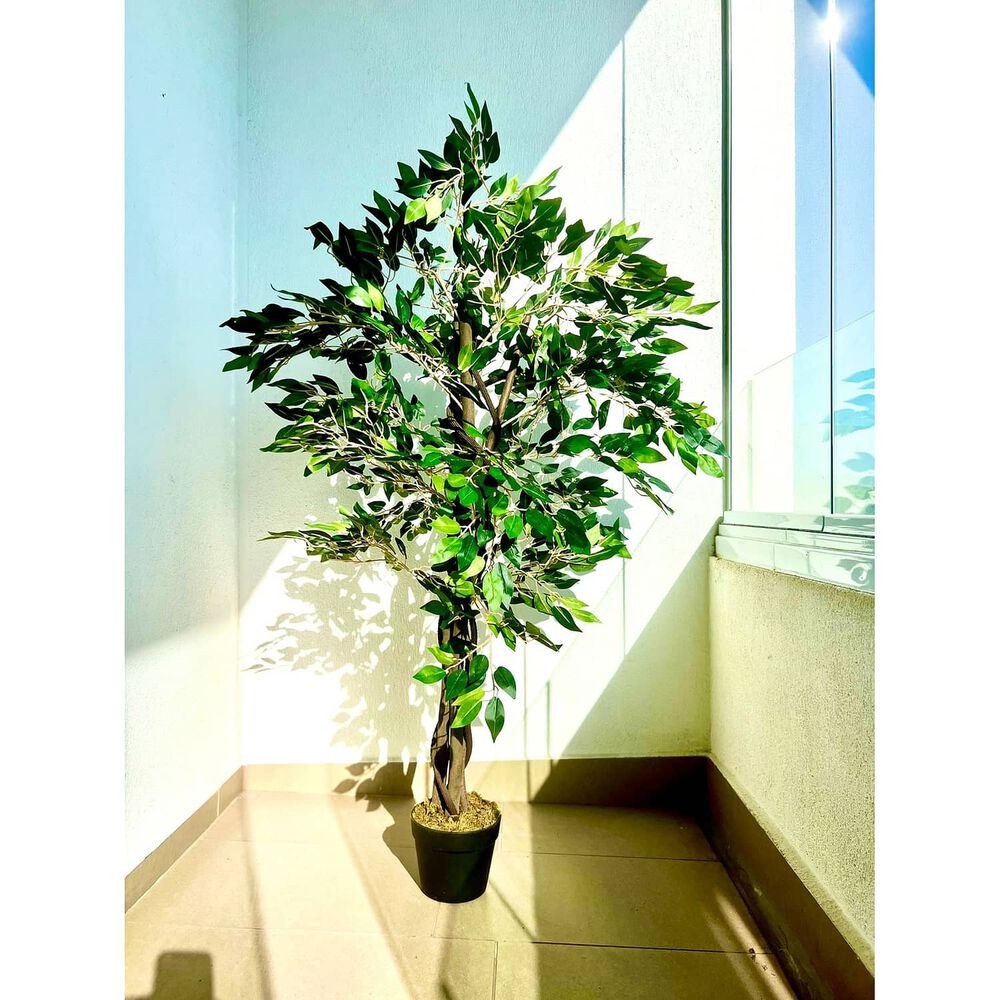 2 X 1 Plantas Artificiales Baratas Ficus 120 Cm Arbusto Real image number 5.0