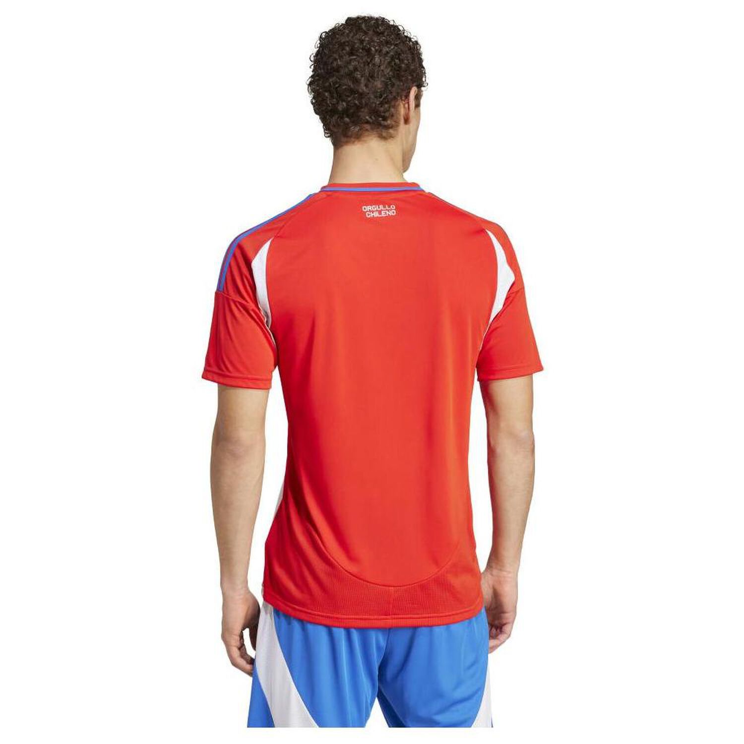 Camiseta De F&uacute;tbol Hombre Local Chile 2024 Adidas image number 3.0