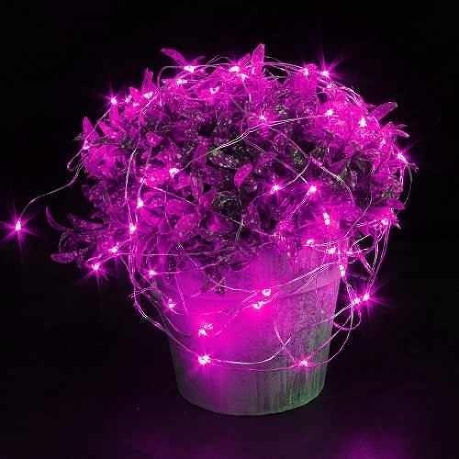 Luces Micro Led Hadas Pilas 2 Metros Colores Pilas Incluidas image number 13.0