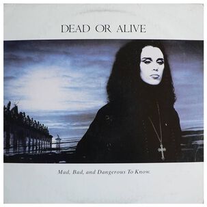 Dead Or Alive - Mad, Bad, And Dangerous To Know | Vinilo Usado