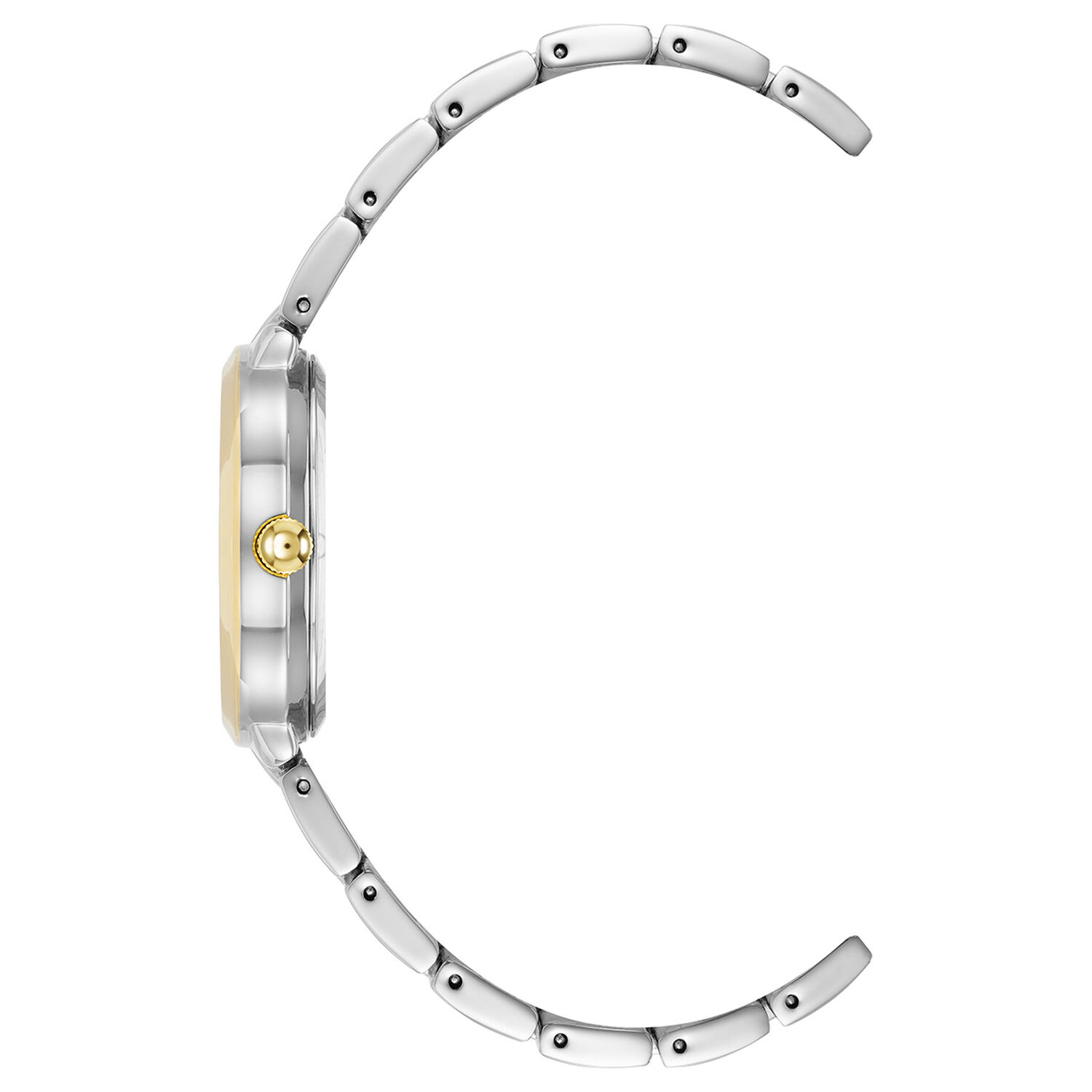 Reloj Anne Klein 5021svtt Bicolor image number 1.0