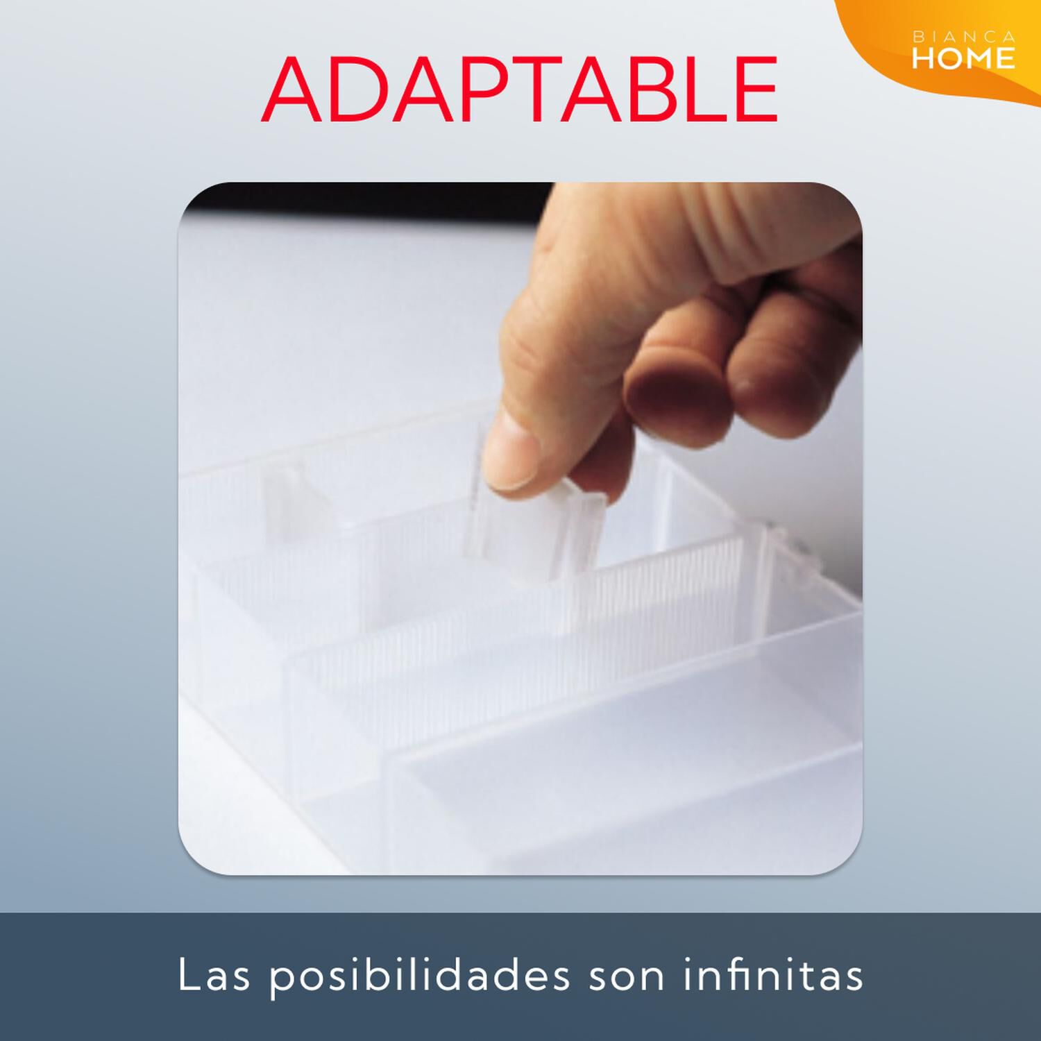 Caja Plastica Divisiones Movibles image number 3.0