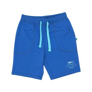 Bermuda Niño Topsis