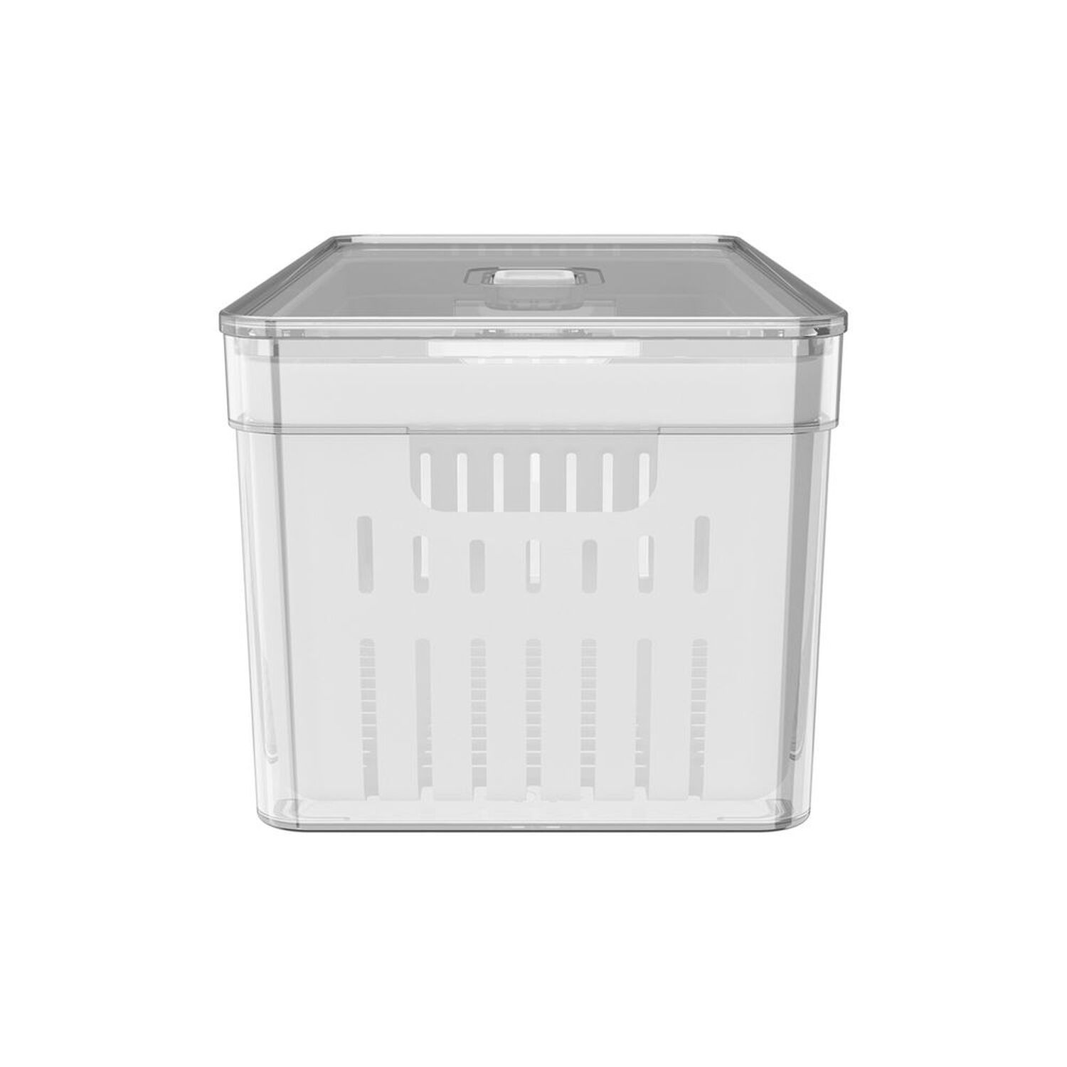 Organizador De Refrigerador Con Tapa Clear Fresh 30 X 15 X 13 Cm image number 4.0