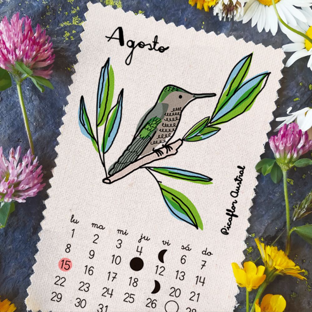 Calendario 2022 Aves Pajarito De Mimbre image number 8.0